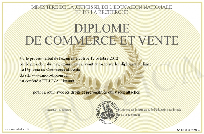 diplome vente commerce